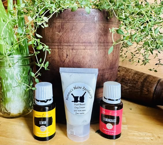 Plant Based Day Cream